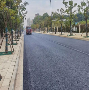 武漢市后湖大道延長線道路工程